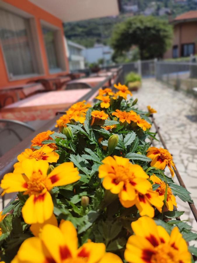 Albergo Villa Mimosa Torbole Sul Garda Екстериор снимка
